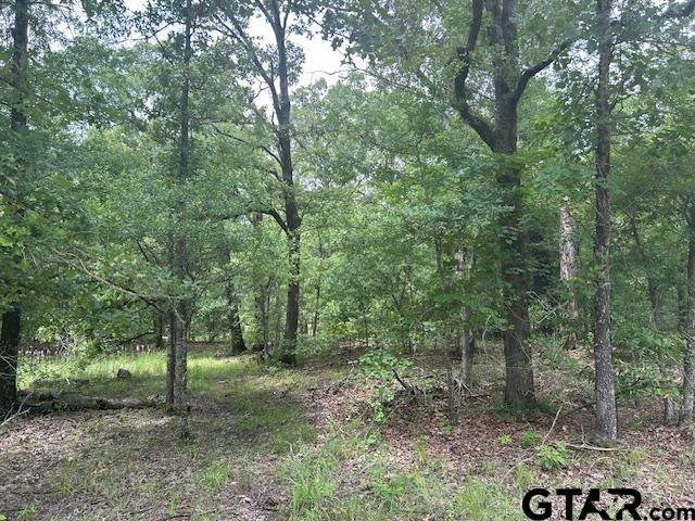 Property Photo: Tbd Vzcr 1712 TX 75140