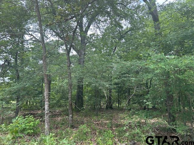 Property Photo: Tbd Vzcr 1712 TX 75140