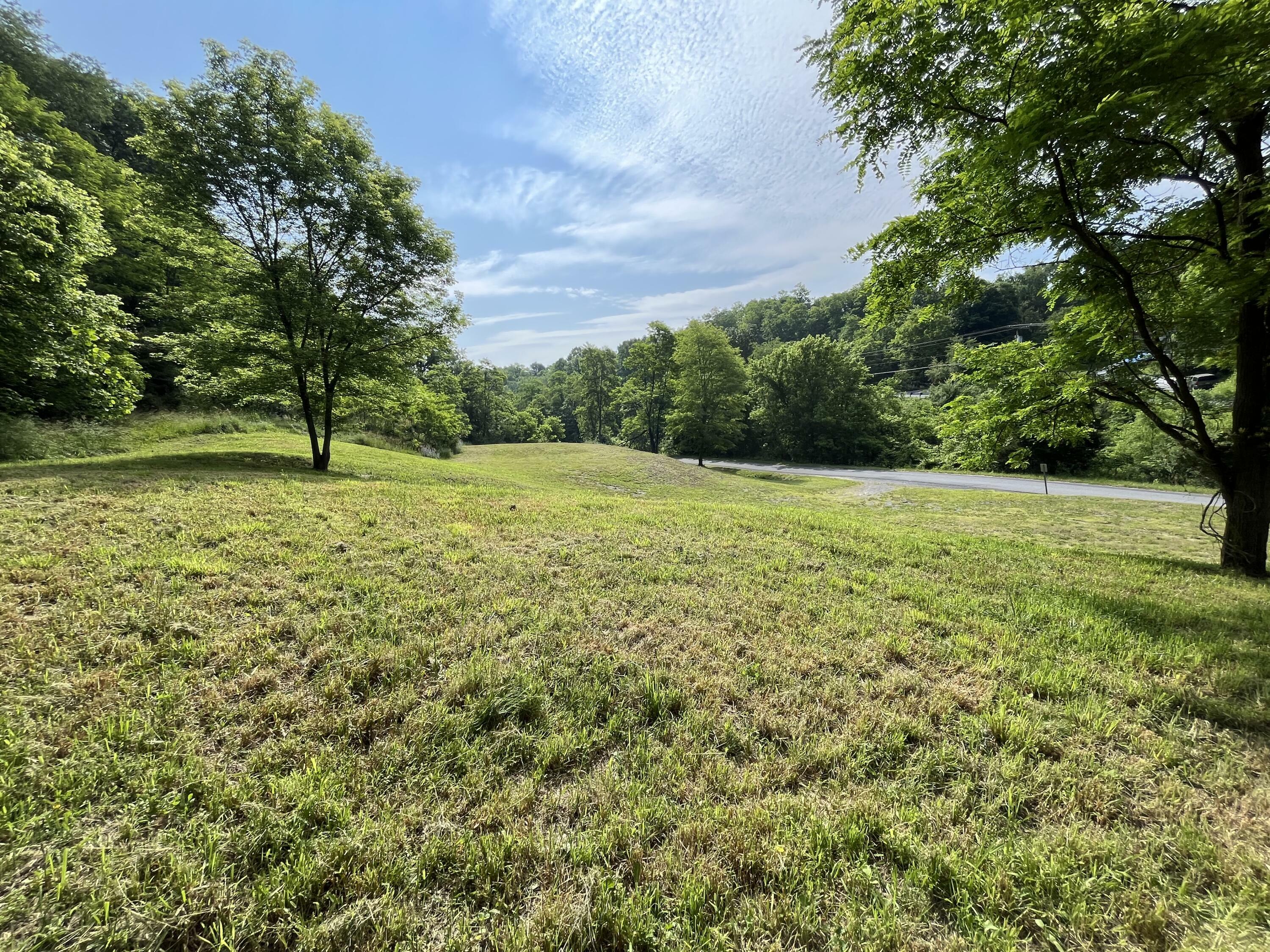 Property Photo: Cades Field WV 24983