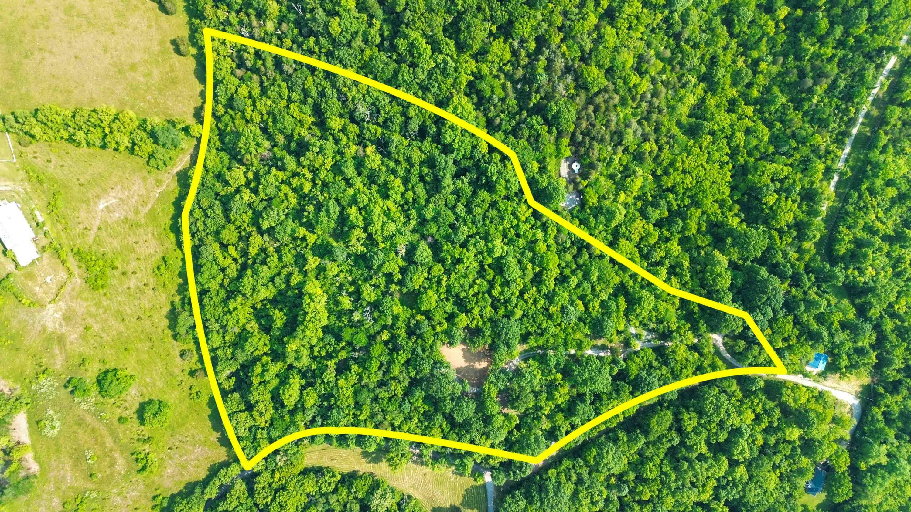 Property Photo:  Tract 1-A Fort Bramlett Road  KY 40356 
