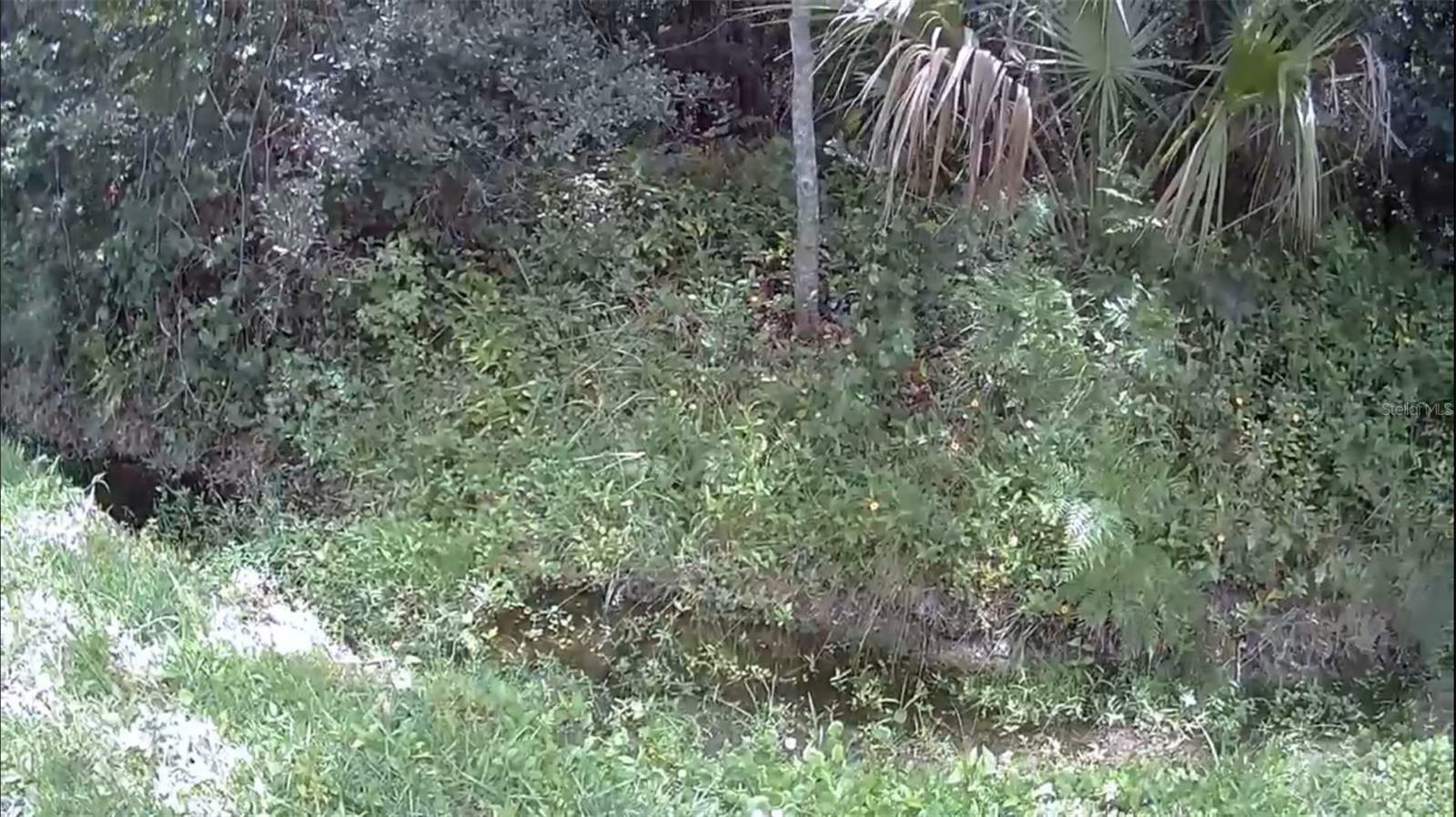 Property Photo: 2737 10th Street FL 32820
