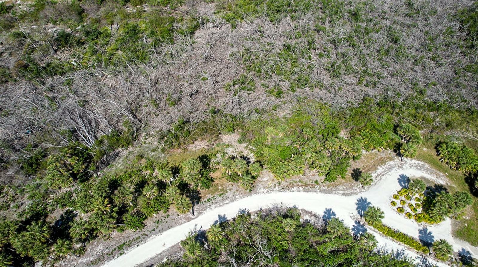 Property Photo:  6030 Sabal Palm Drive  FL 33852 