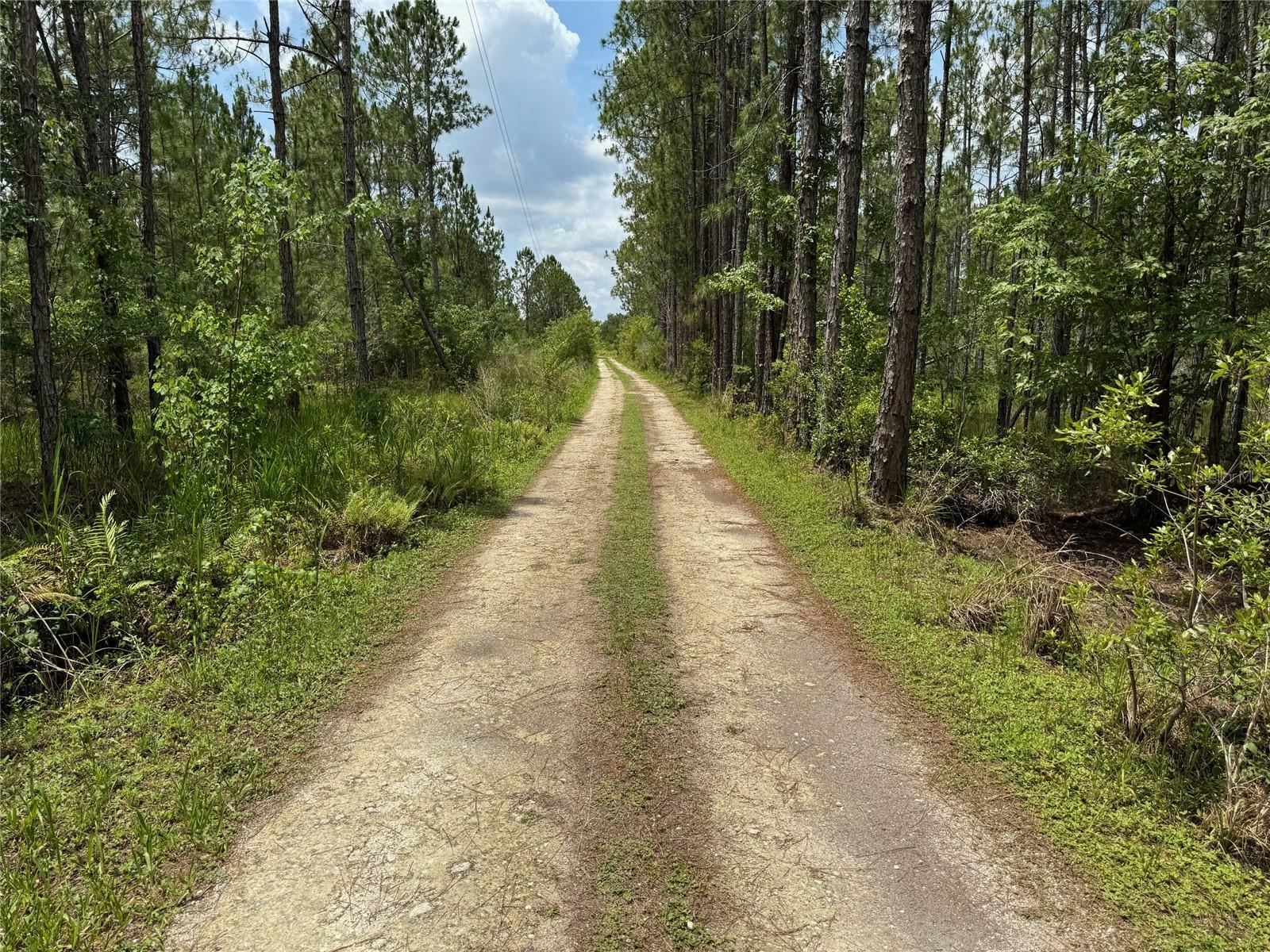Property Photo: Havana Road FL 34714
