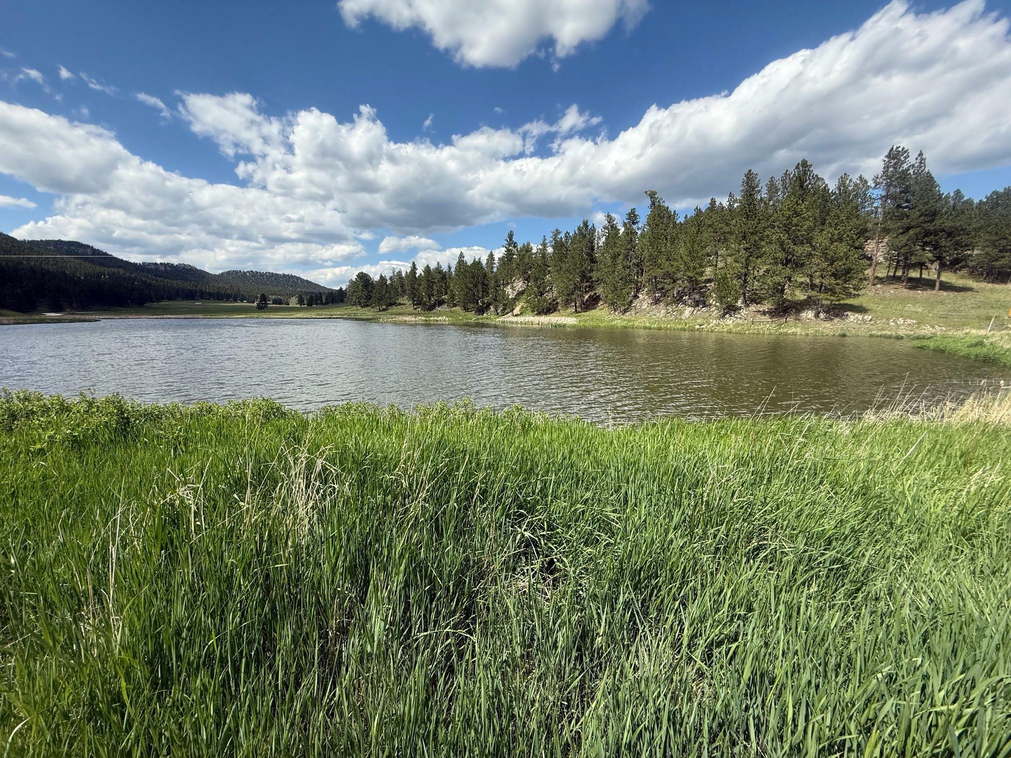 11755 Pleasant Valley Road  Custer SD 57730 photo