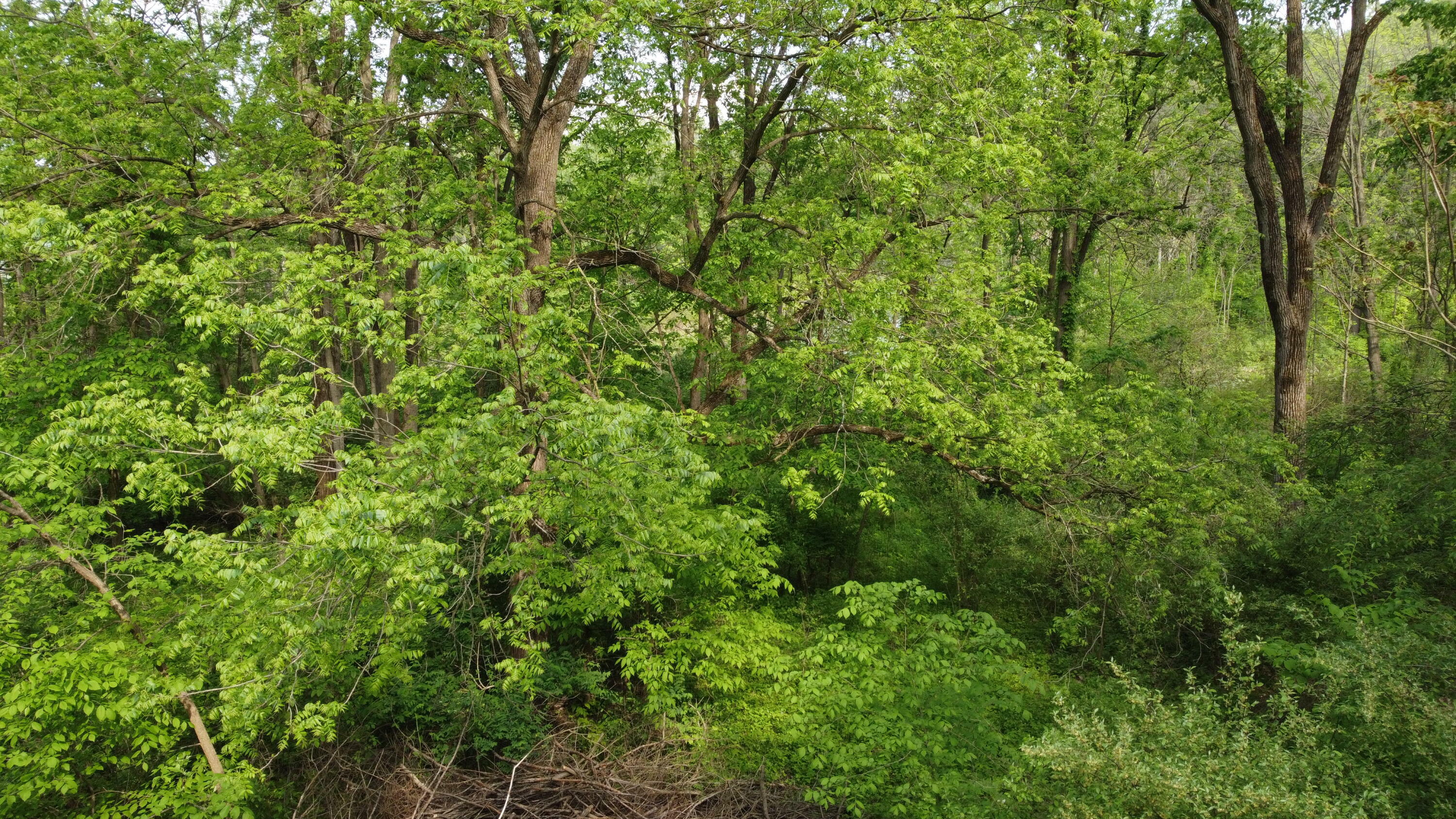 Property Photo: 0 Lakeside Drive MI 49287