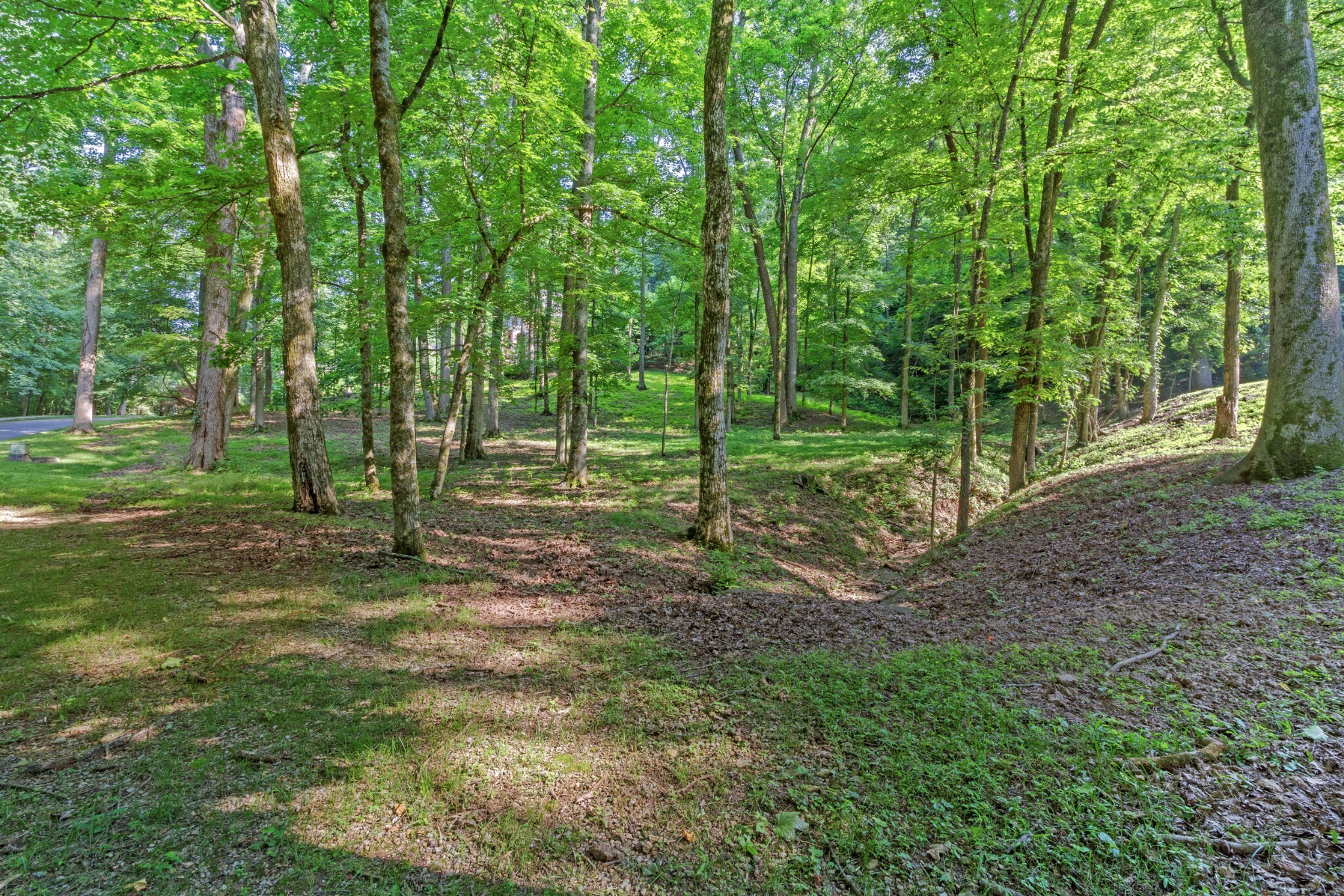 35 Annandale  Nashville TN 37215 photo
