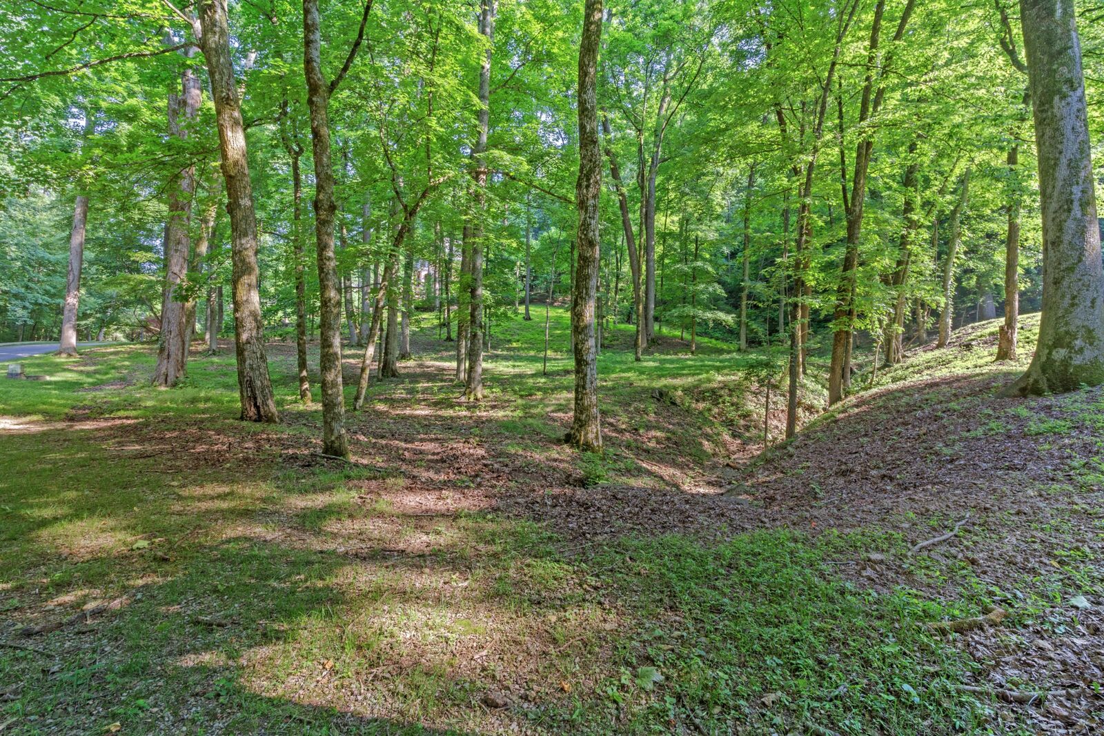 Property Photo:  35 Annandale  TN 37215 