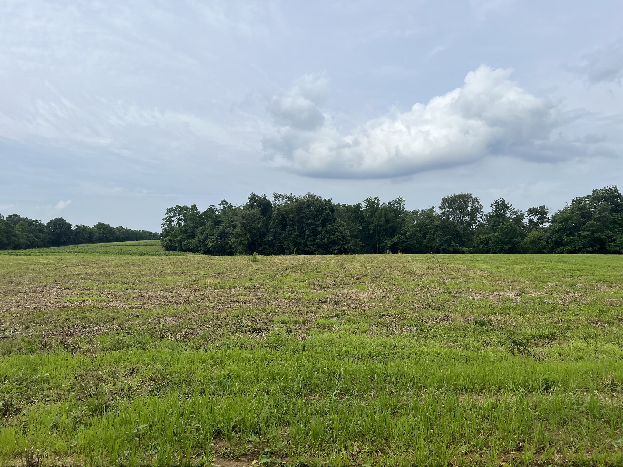 Property Photo:  19 Annie Hollow Rd  TN 37186 