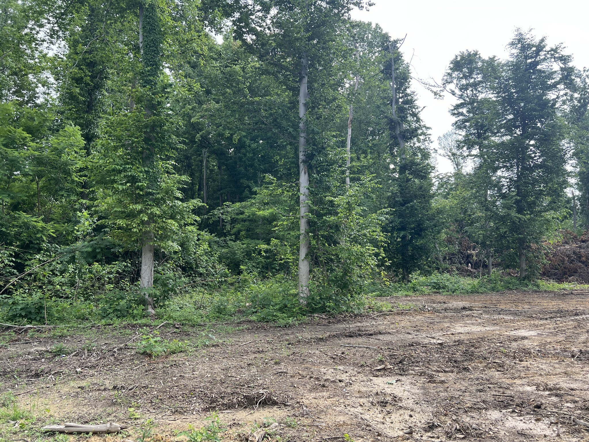 Property Photo:  28 Annie Hollow Rd  TN 37186 