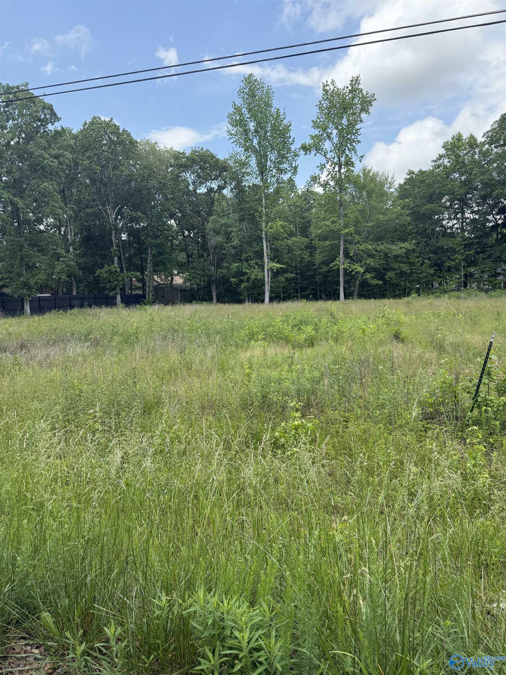 Property Photo: 28427 Jessica Drive AL 35773