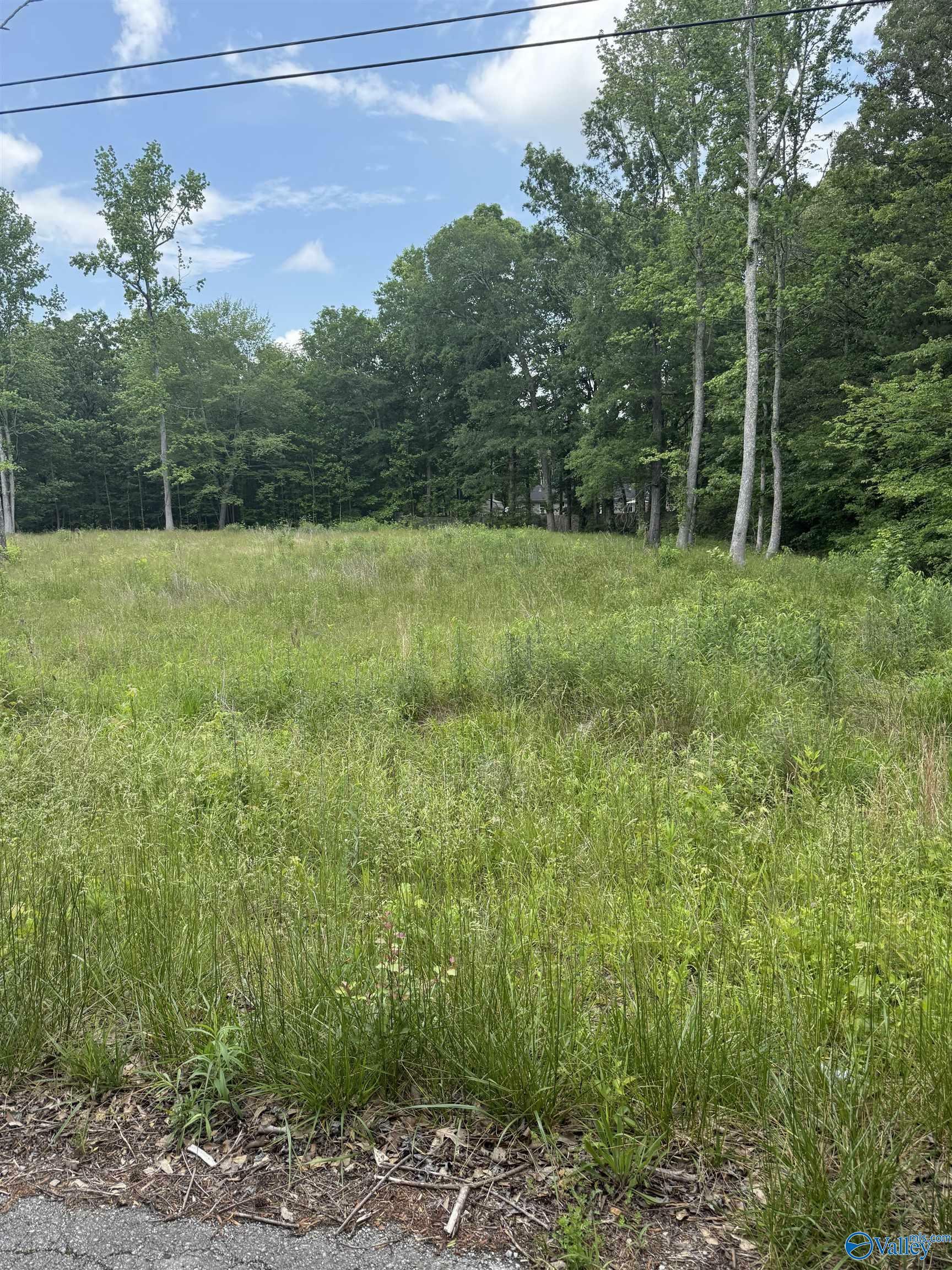 Property Photo: 28447 Jessica Drive AL 35773