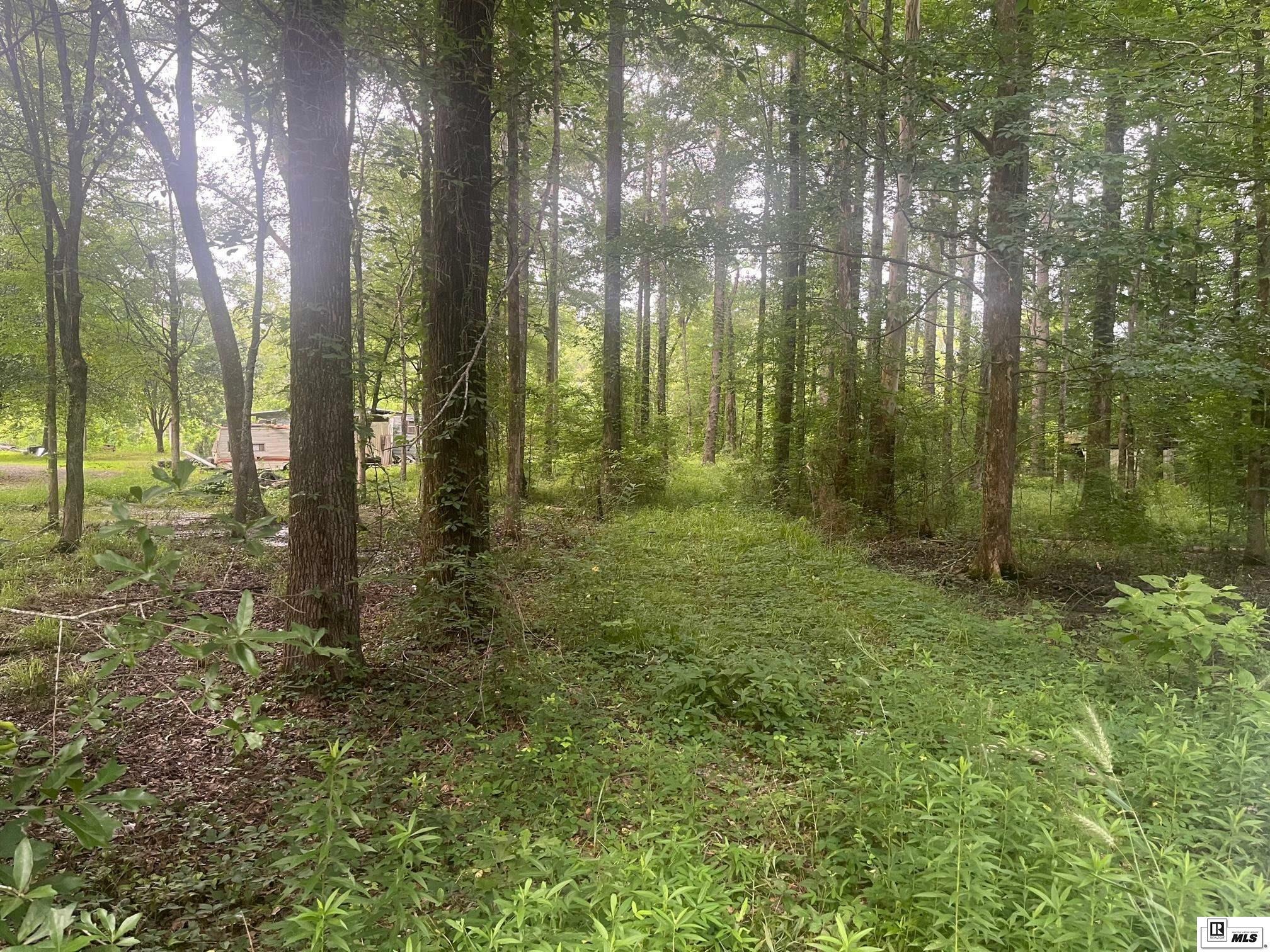 Property Photo: 000 Loch Lomond Drive LA 71232