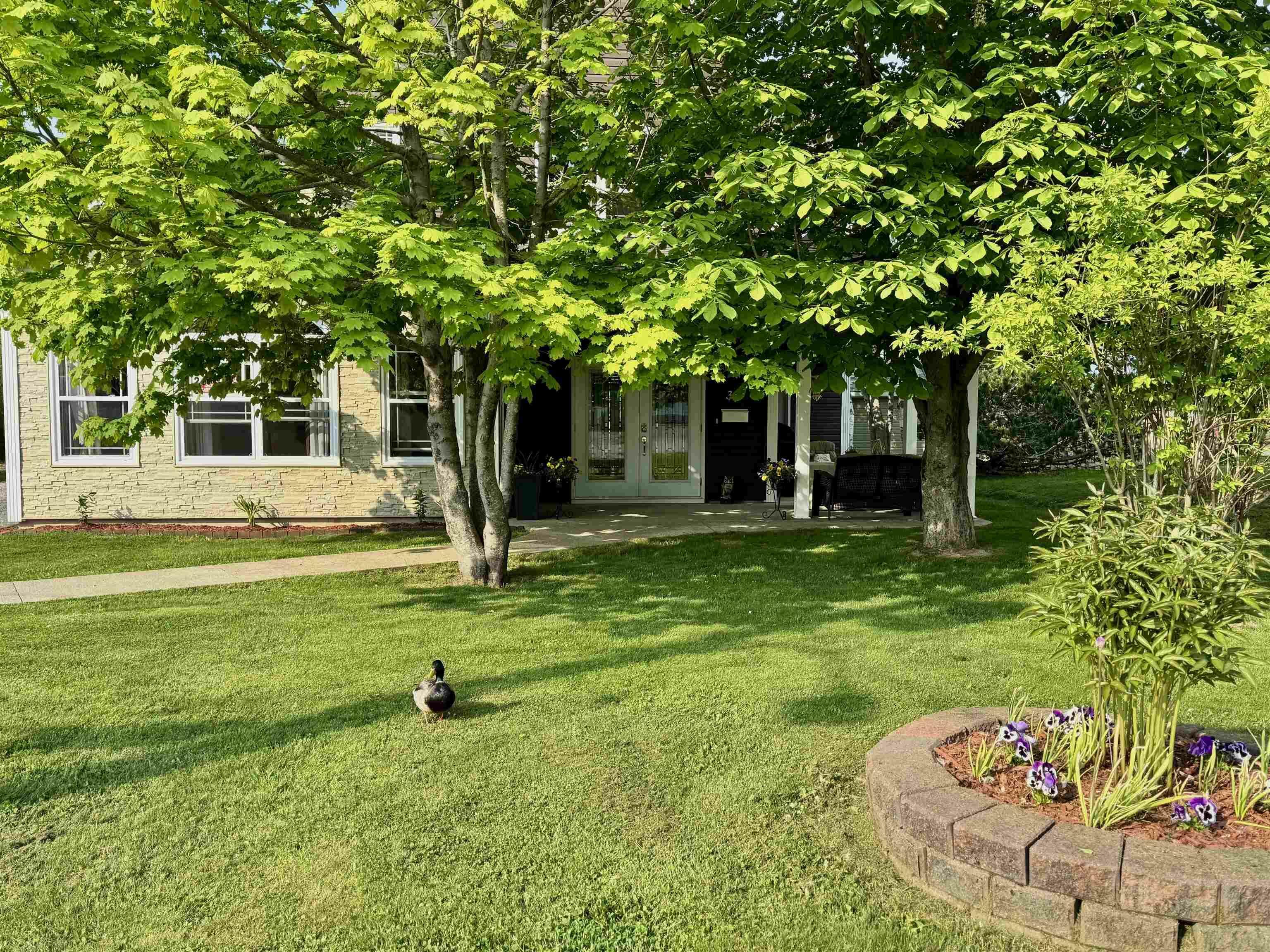 Property Photo: 37 Norwood Street NS B1A 3M4