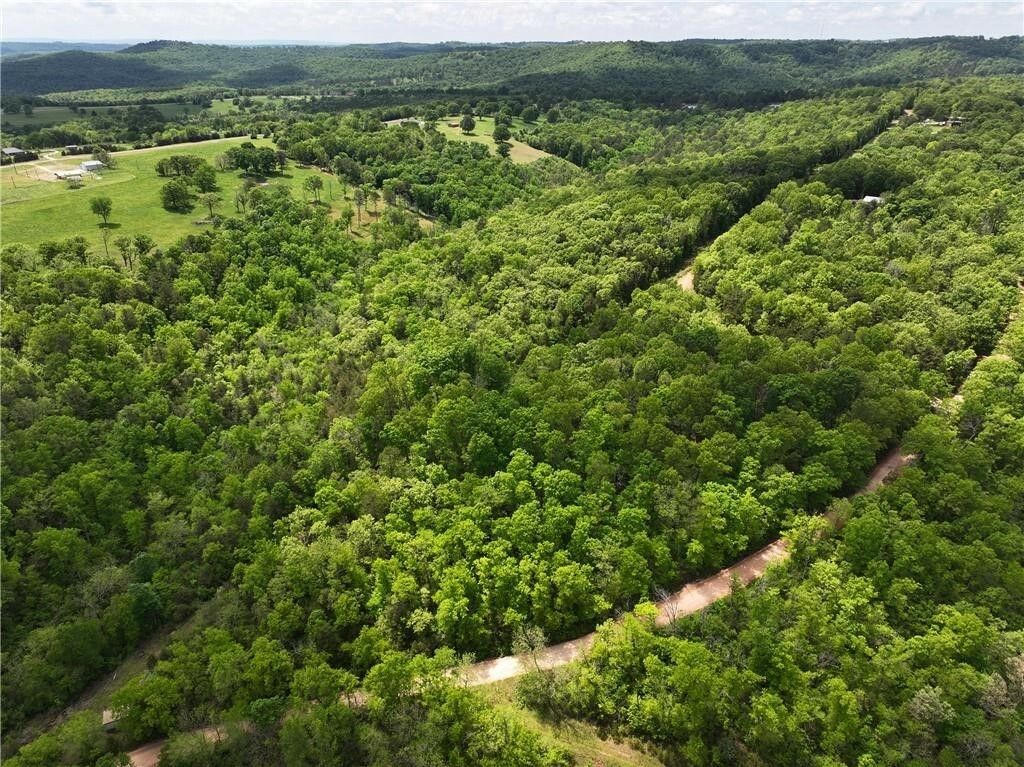 Property Photo:  Tbd Polite Road  AR 72662 