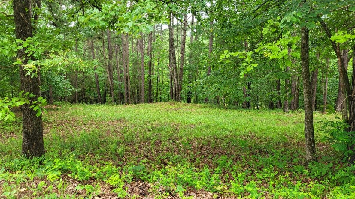 Property Photo:  Haynes Road  AR 72756 
