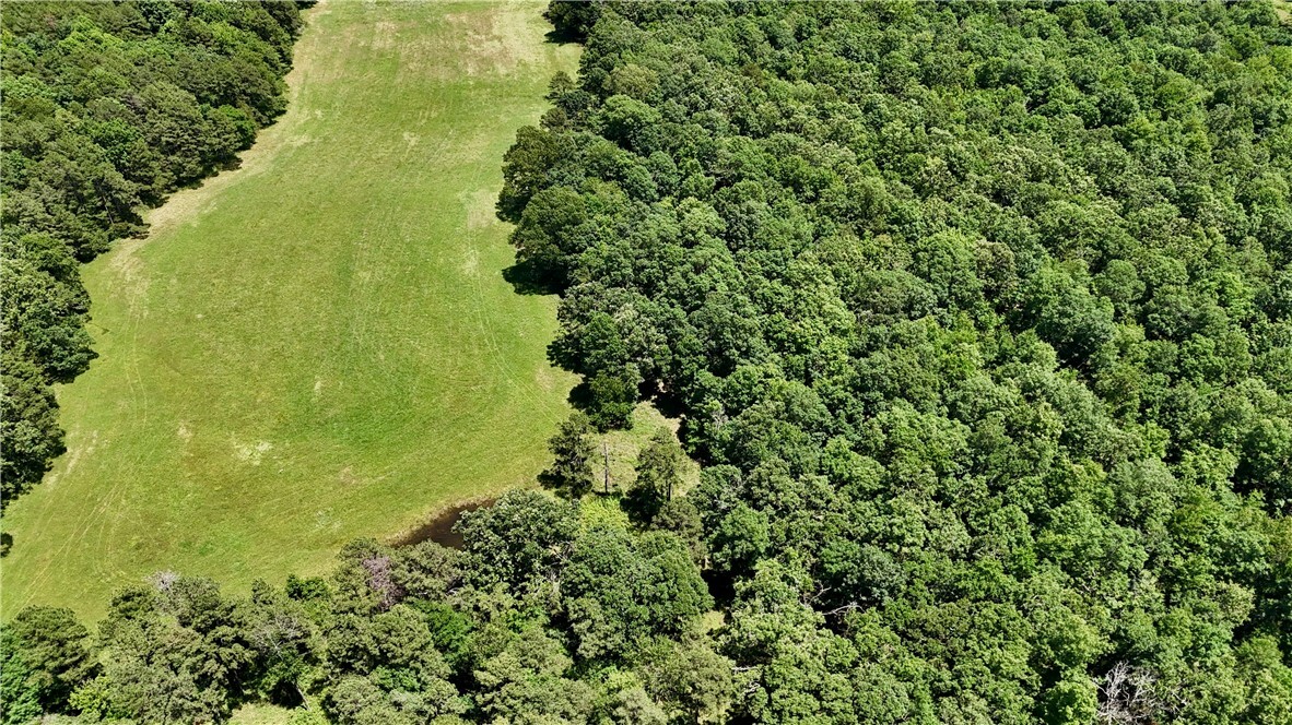 Property Photo:  30 Acres Highway 21  AR 72854 