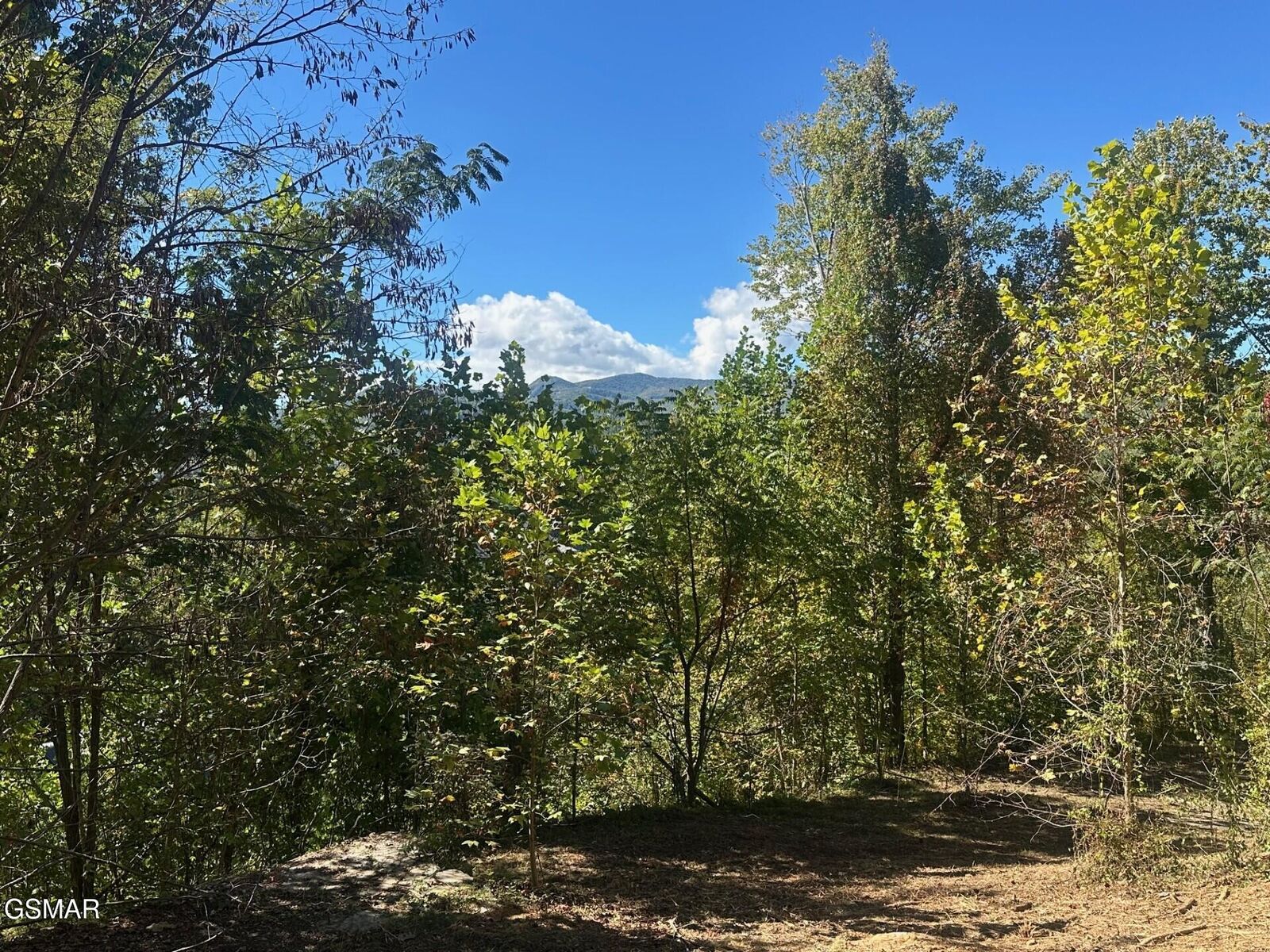 Property Photo: 361 Oakwood Drive TN 37876