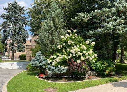 140 Ling Road 97  Toronto ON M1E 4V9 photo