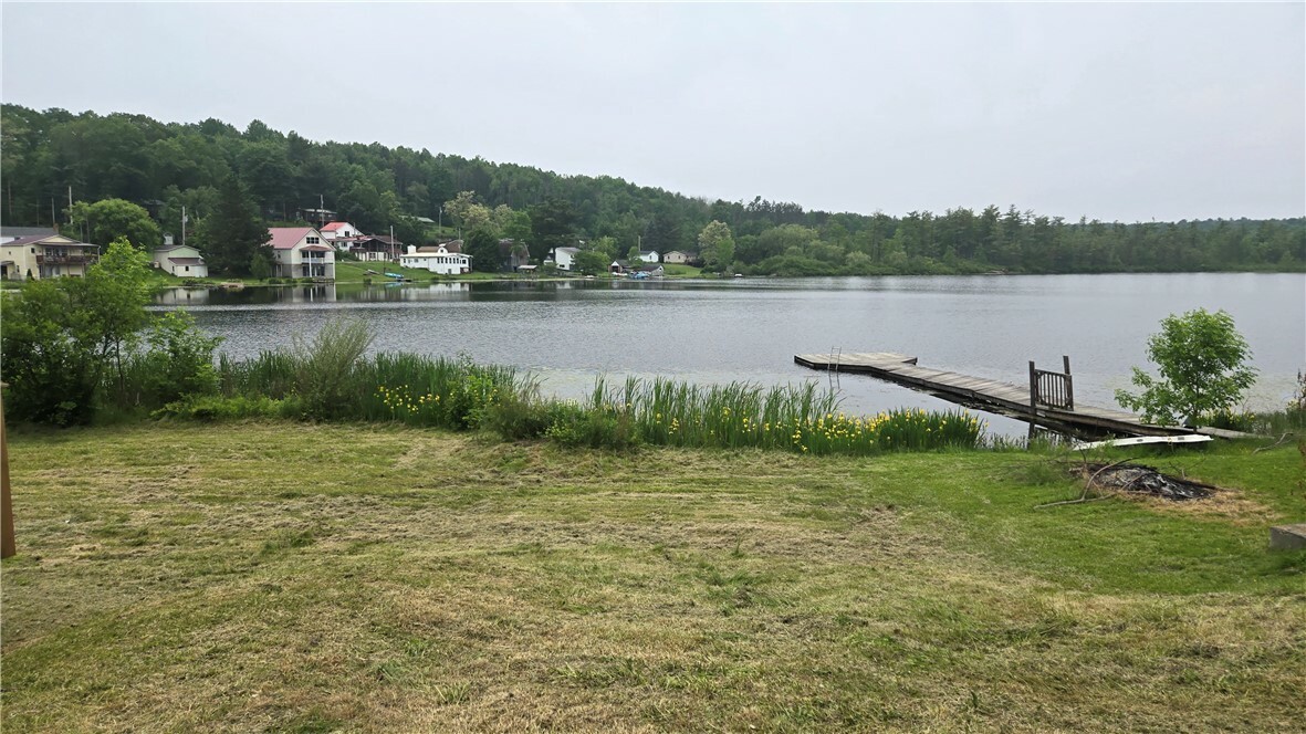 Property Photo: 3976 Eddy Road NY 14801