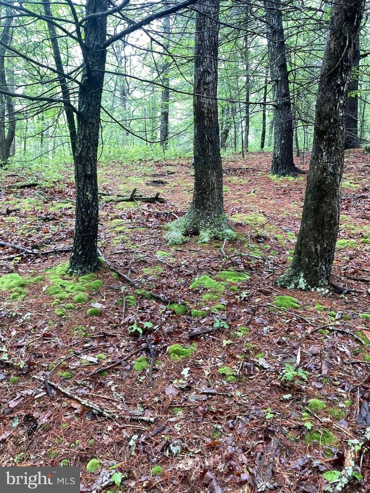 Property Photo:  Lot 4 Highland Drive  WV 26808 