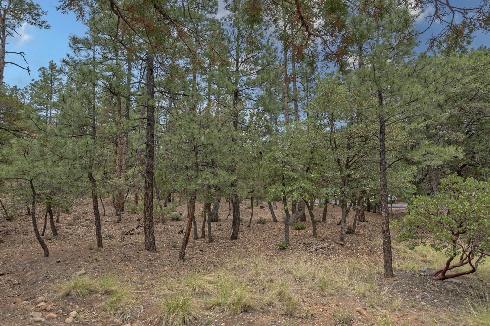 Property Photo: 98 Trails End AZ 85544