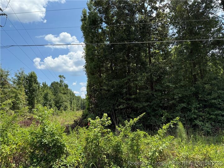 Property Photo: 0 Tabor Church Road NC 28312