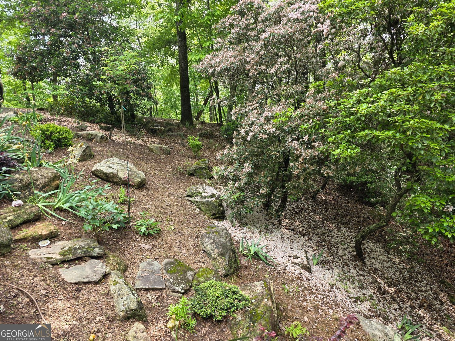 Property Photo: 73 Brentwood Court Court GA 30571