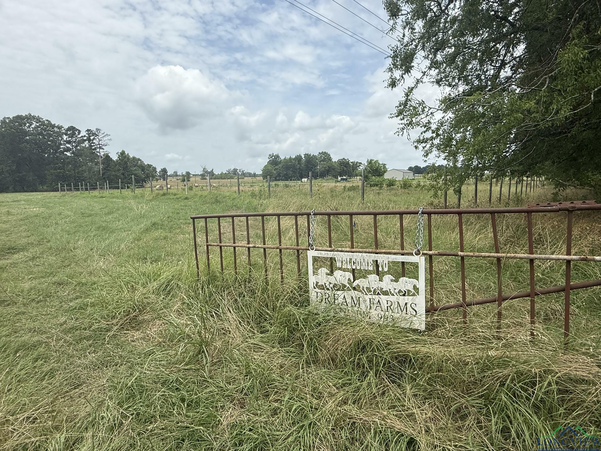 Property Photo: 8771 Fm 993 TX 75686