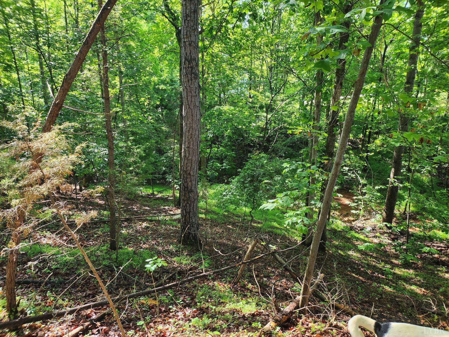 Property Photo: