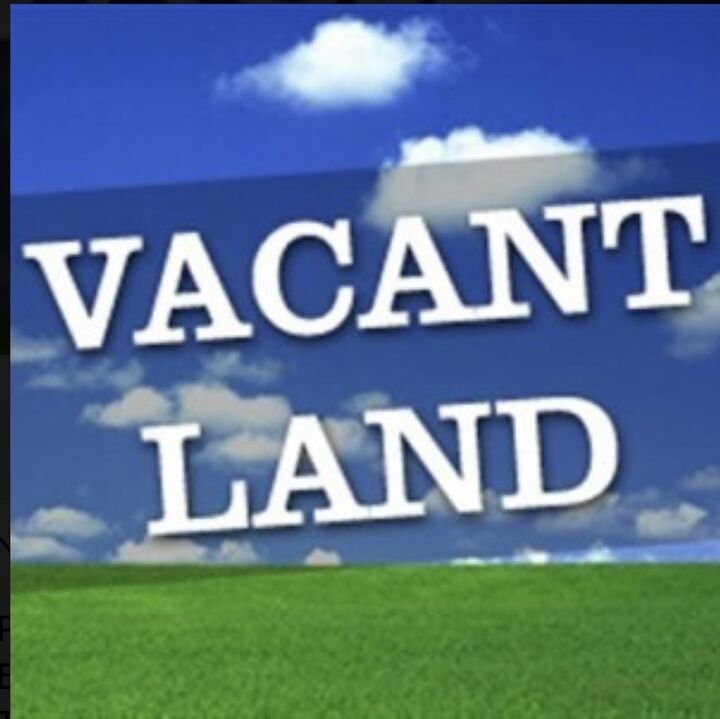 10801 Doyle Court  Orland Park IL 60467 photo
