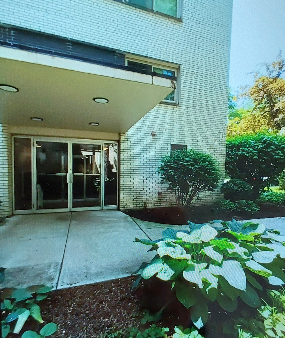Property Photo: 407 N Franklin Avenue 5F IL 60305
