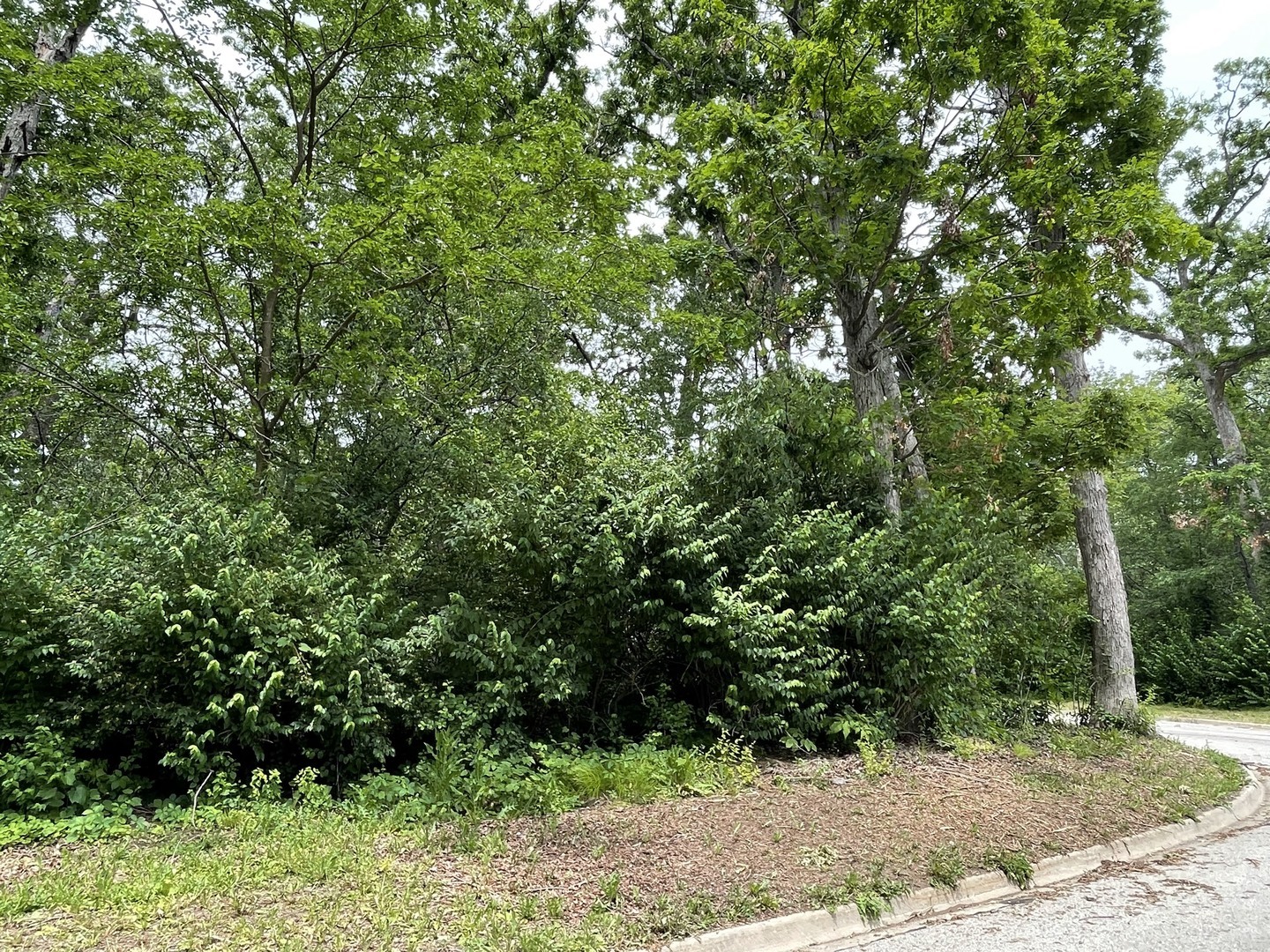 Property Photo: 7316 Forest Oak Drive IL 60050