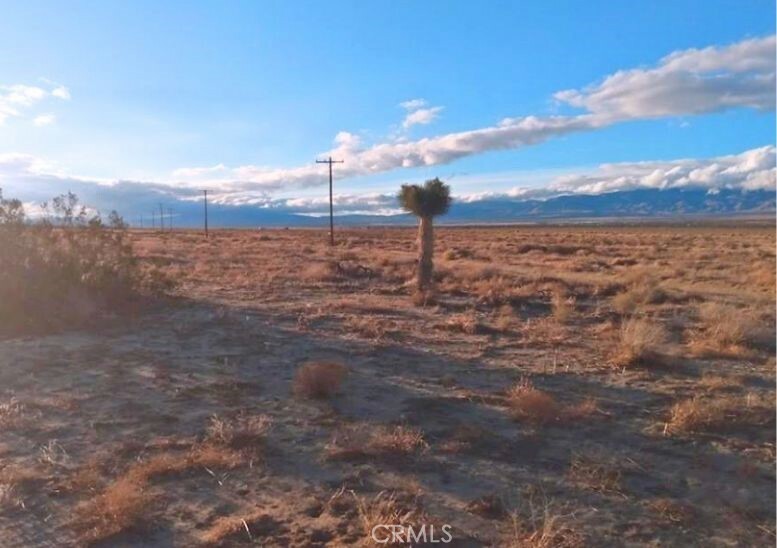 Property Photo: 0 Vac/Ave B/Vic 193 Stw CA 93536