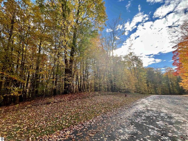 Property Photo:  166 Forest Highlands  MI 49615