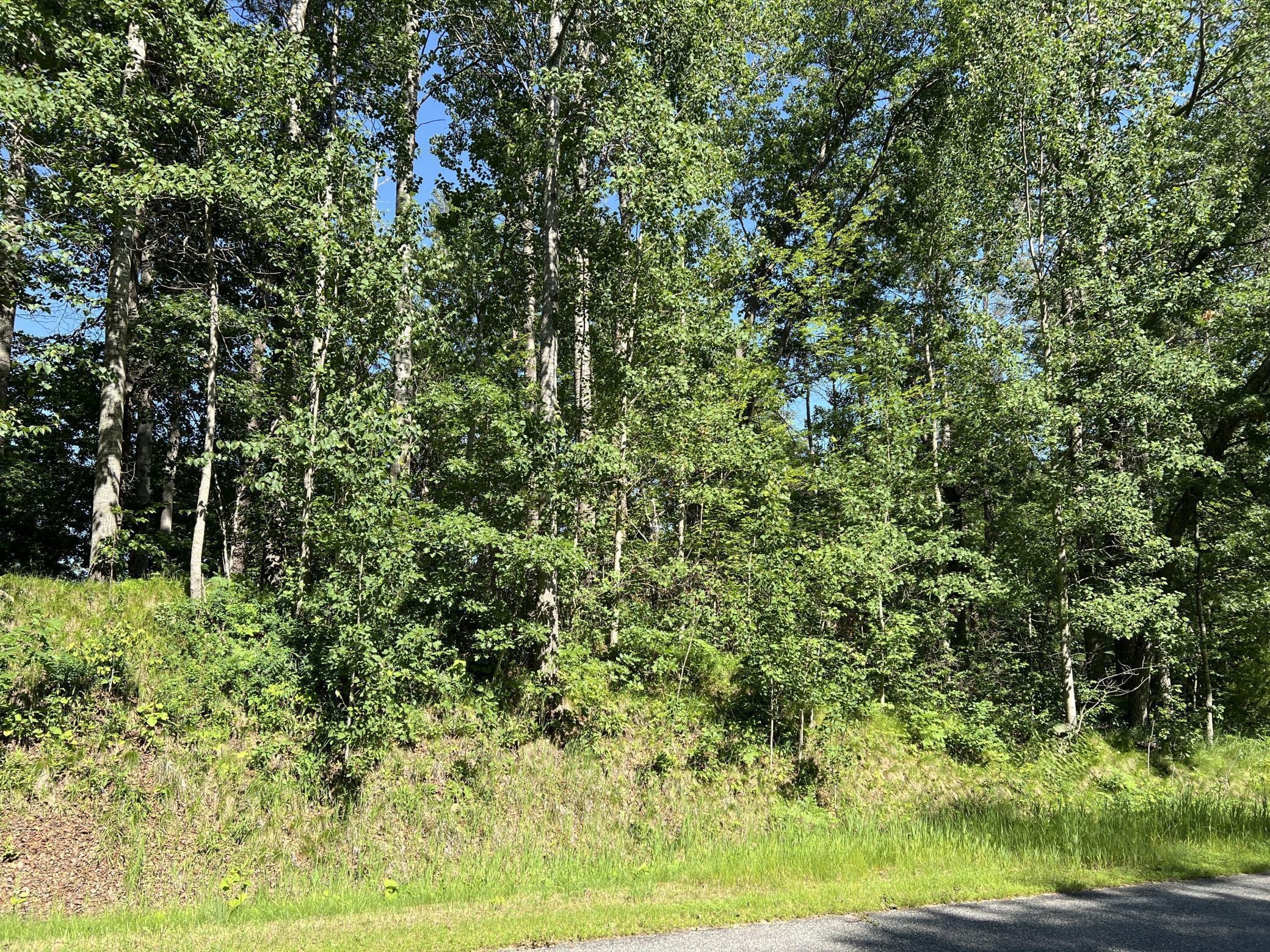 Property Photo:  Lot 8 Terminal Road  MN 56472 