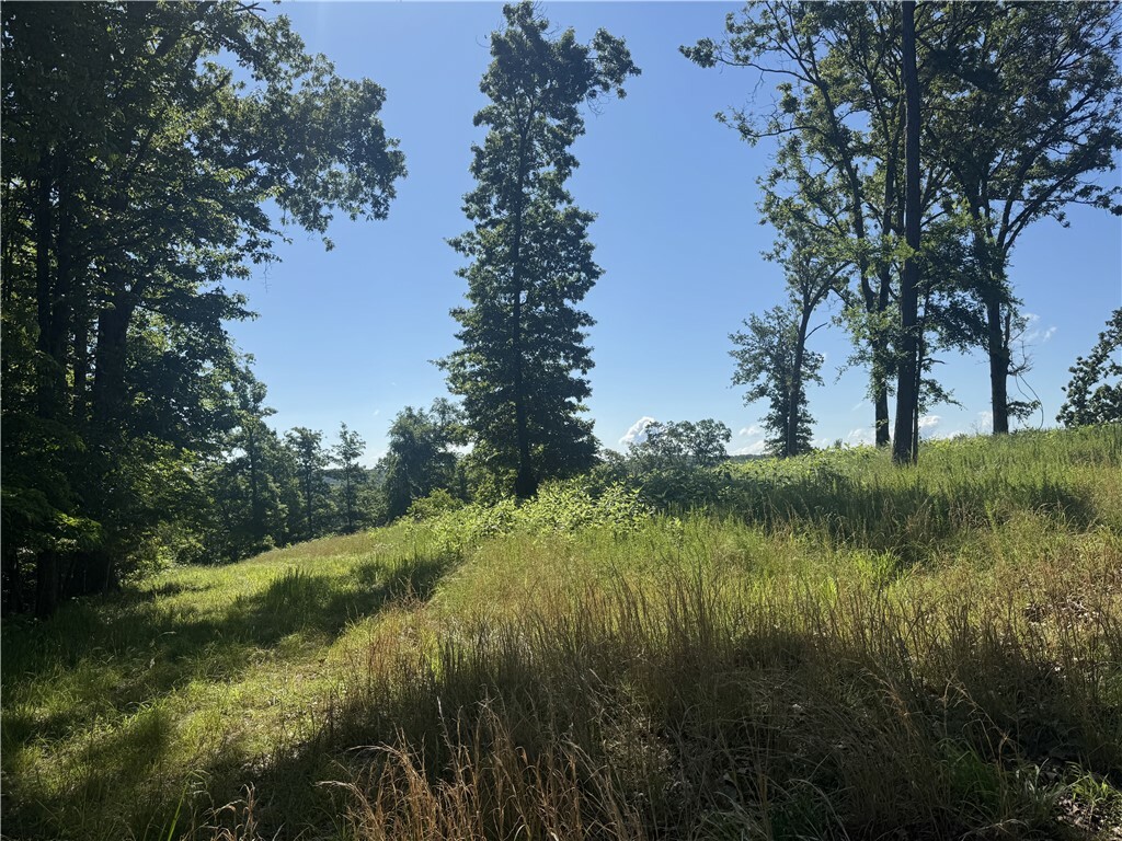 Property Photo: Cr 150 Blackberry & Glen Haven Lane AR 72631