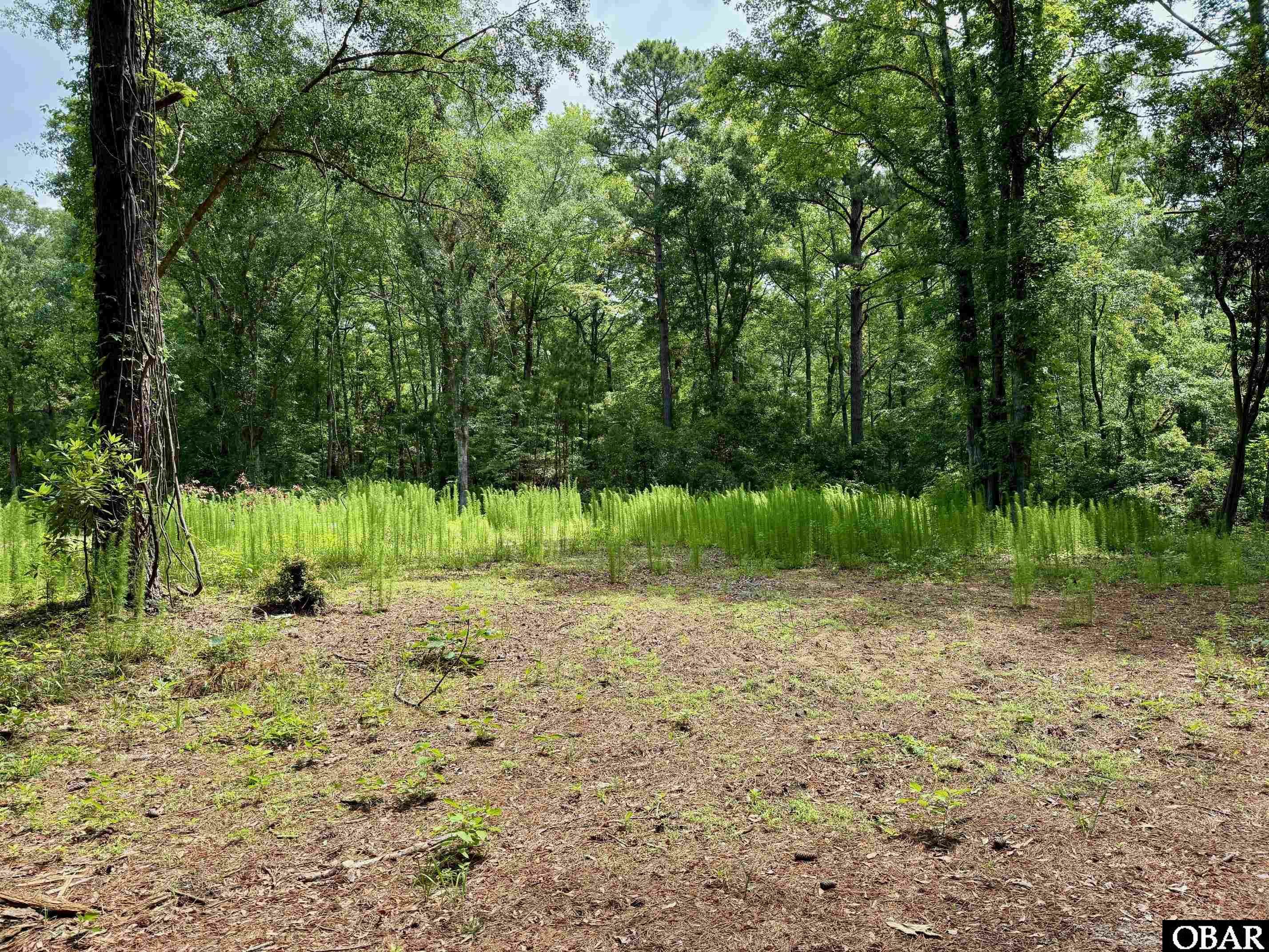 Property Photo: 5031 Hornbeam Road NC 27949