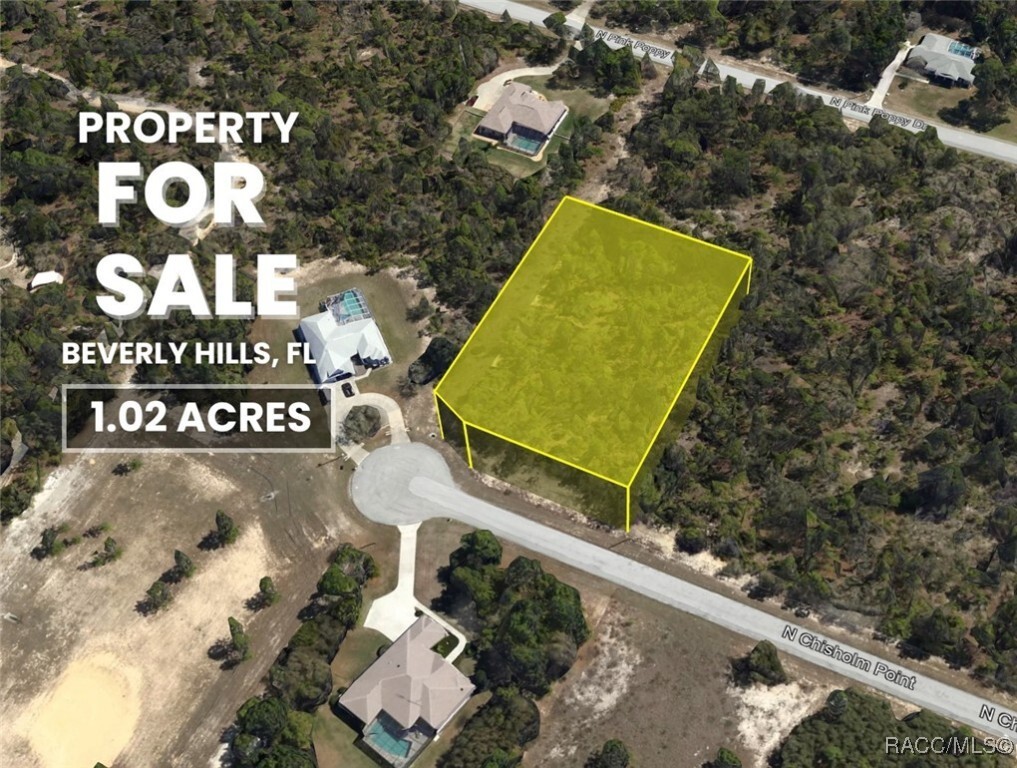 Property Photo: 4189 N Chisholm Point FL 34465