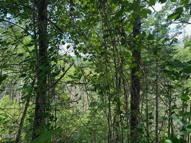 Property Photo: Lot 18 Turkey Creek Way TN 37862