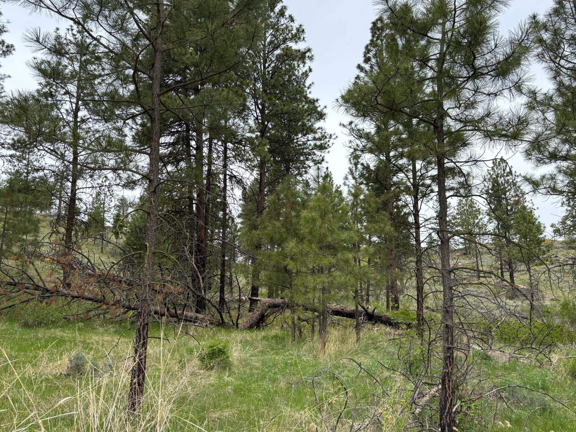 Property Photo: 8xx Upper Reevas Basin Rd Lot 3628012011 WA 98855