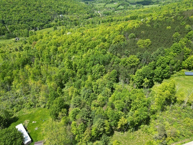 Property Photo: 262 West Hill Road NY 14892