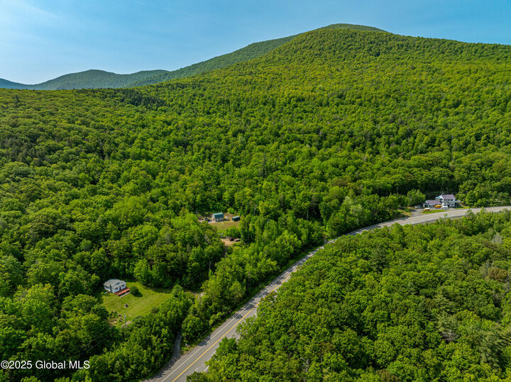 Property Photo:  7209 Route 23  NY 12423 