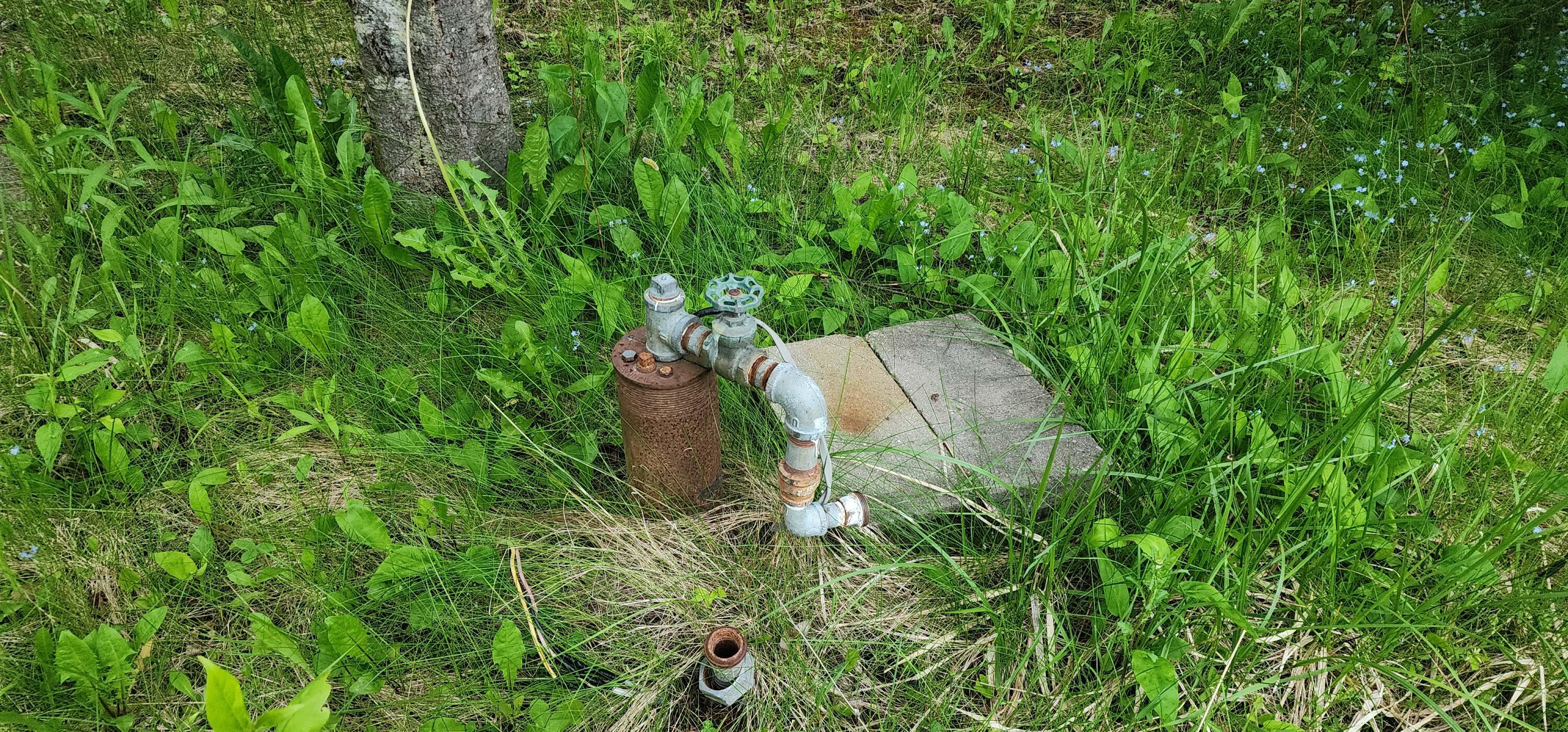Property Photo: 26928 Point Aux Frenes Rd MI 49736