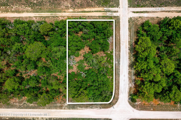 Property Photo:  13500 Downy Woodpecker Road  FL 34614 