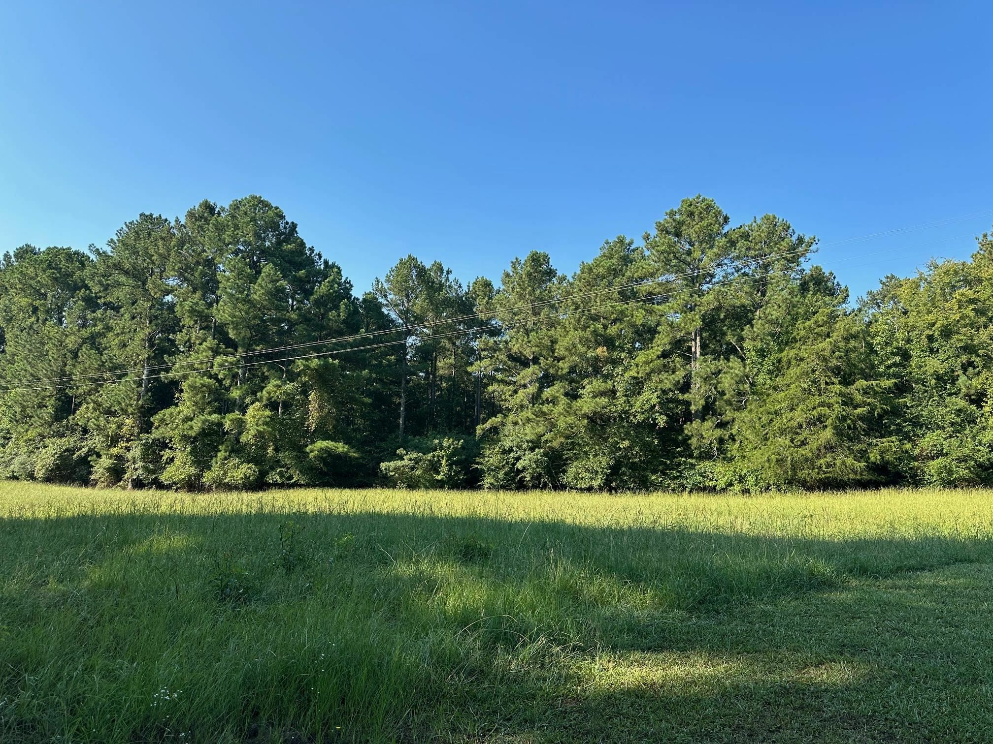 Property Photo: 1661 Walker Church Road GA 30642-000