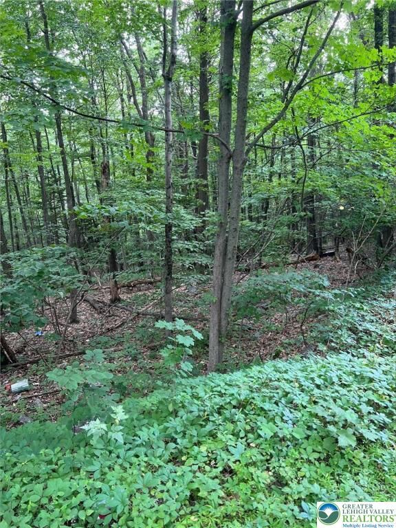 Property Photo: Faber Circle 40,41,42,43 PA 18372