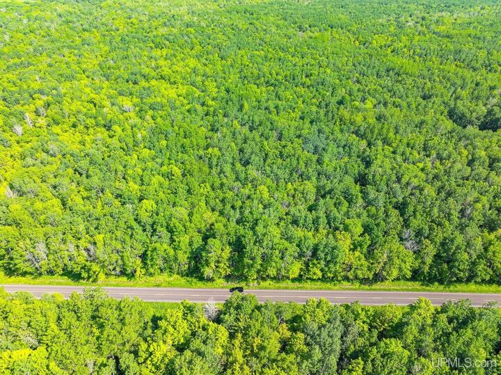 Property Photo:  17 Ac On Lake Road  MI 49938 