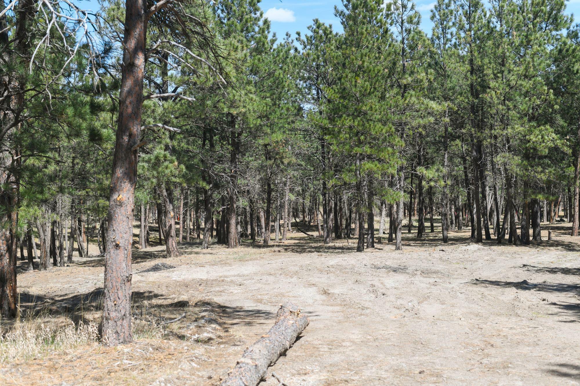 Lot L  Belle Fourche SD 57717 photo