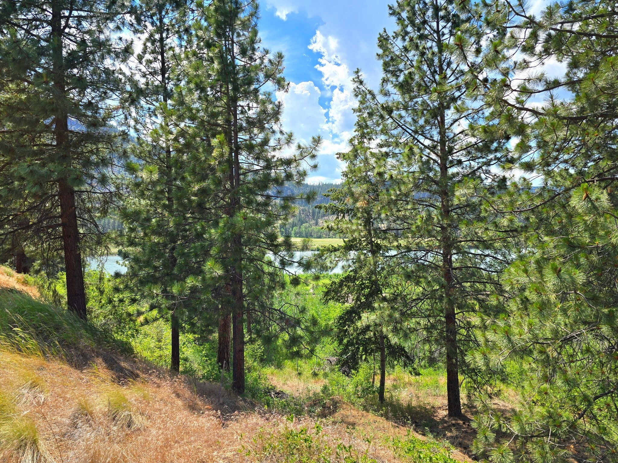 Property Photo: Lot 9 Riverview Terrace MT 59859