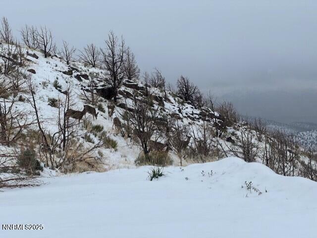 Property Photo:  0 Wrangler Rd  NV 89510 